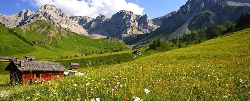 Alpencolor Hotel Tonale 파쏘델토날레 외부 사진